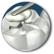 Stomatologie generală